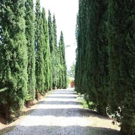 `la Corominola