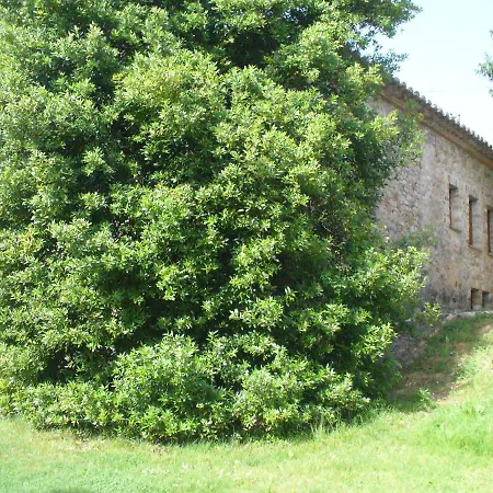 `la Corominola * Llado